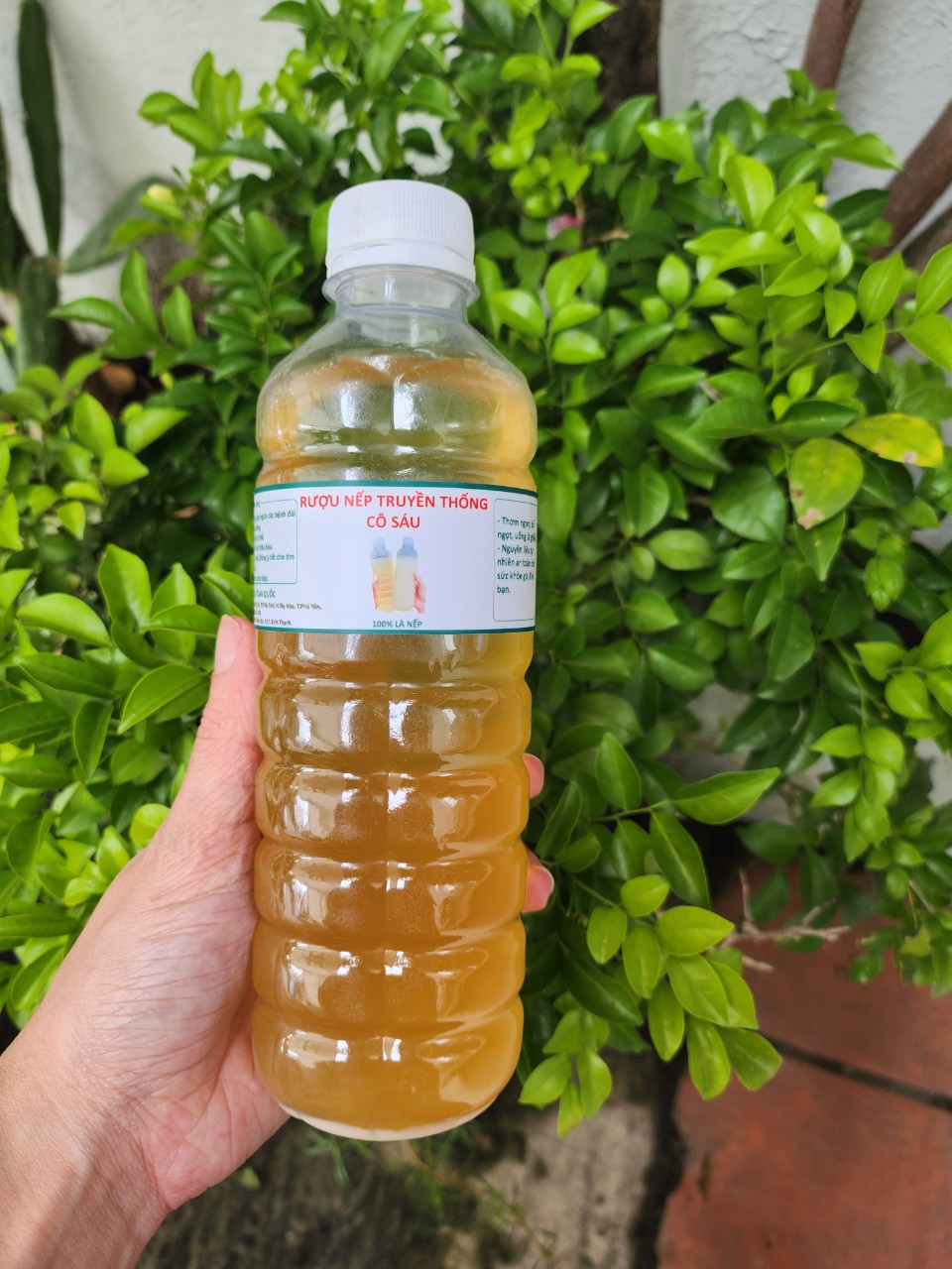 Traditional Fermented Nep Le Wine