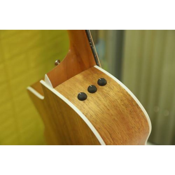 Đàn Guitar Taylor 214CE