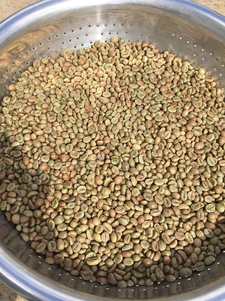Coffee beans (green bean)