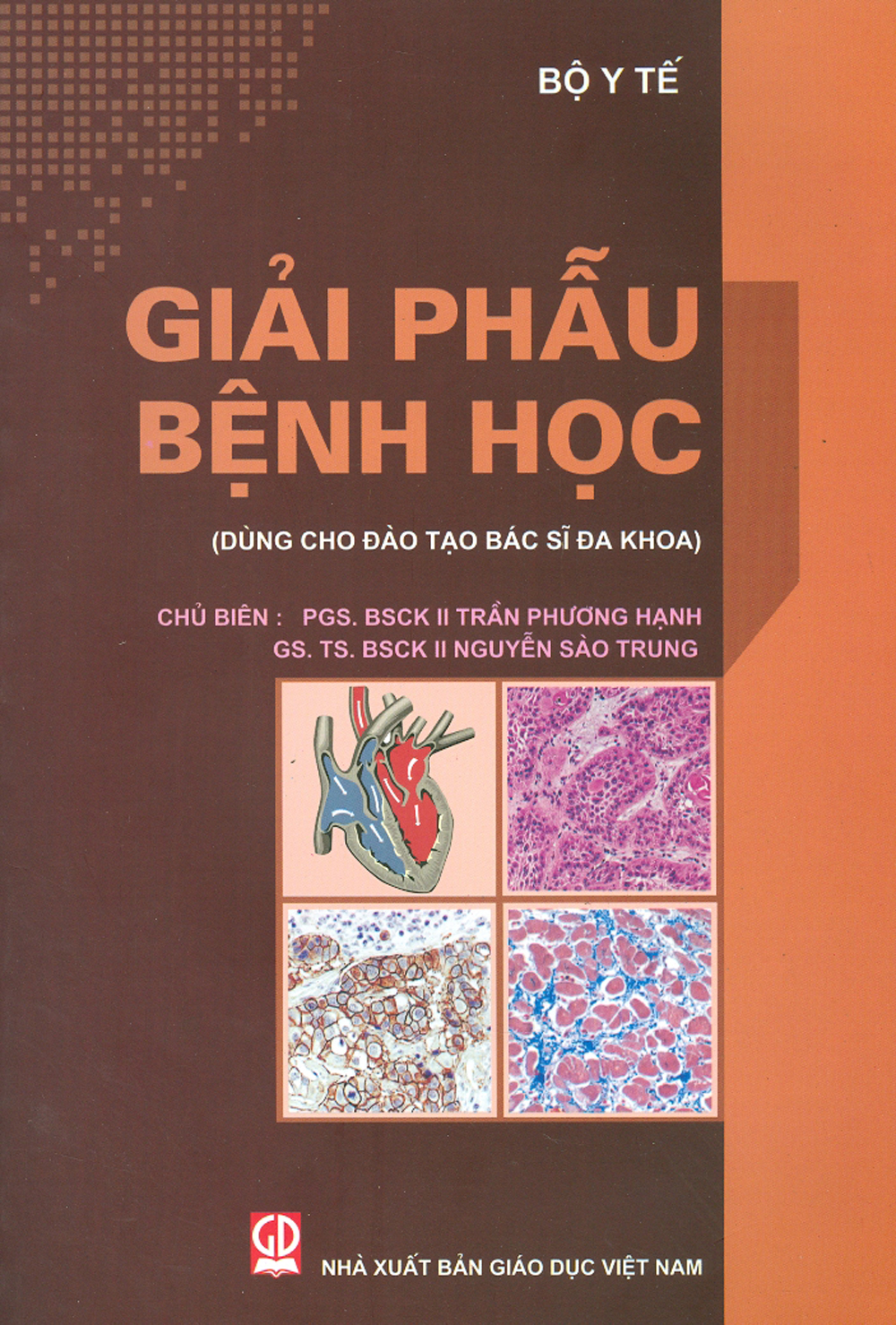 Giải Phẫu Bệnh Học (Dùng Cho Đào Tạo Bác Sĩ Đa Khoa)