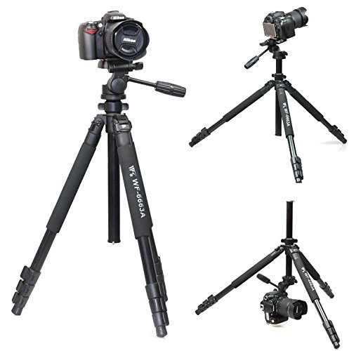 Chân máy ảnh Tripod Weifeng WF-6663A