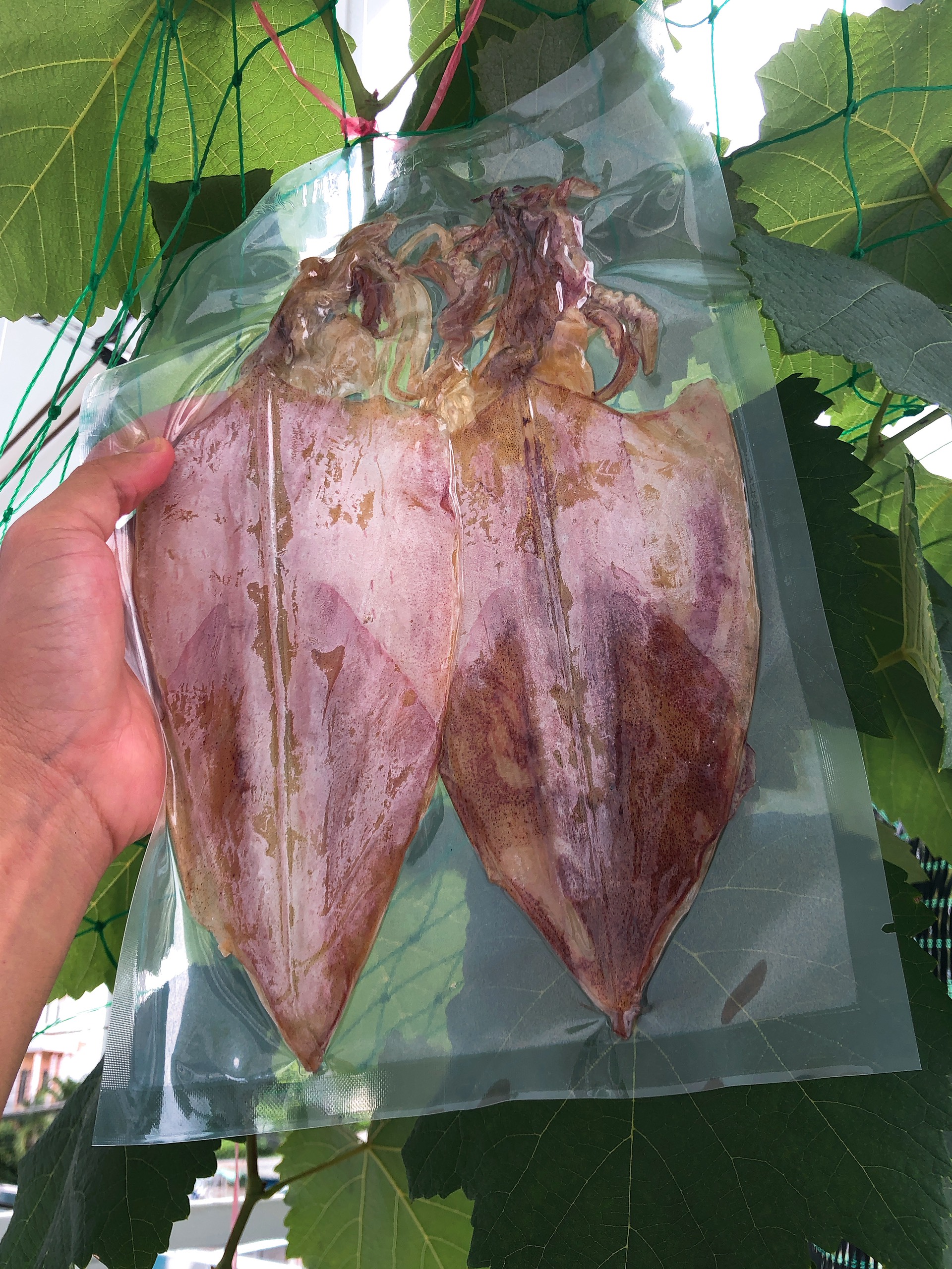 1kg Mực Khô Khánh hòa loại 15 con