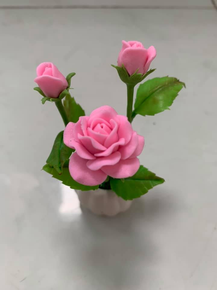 Chậu hoa đất sét mini
