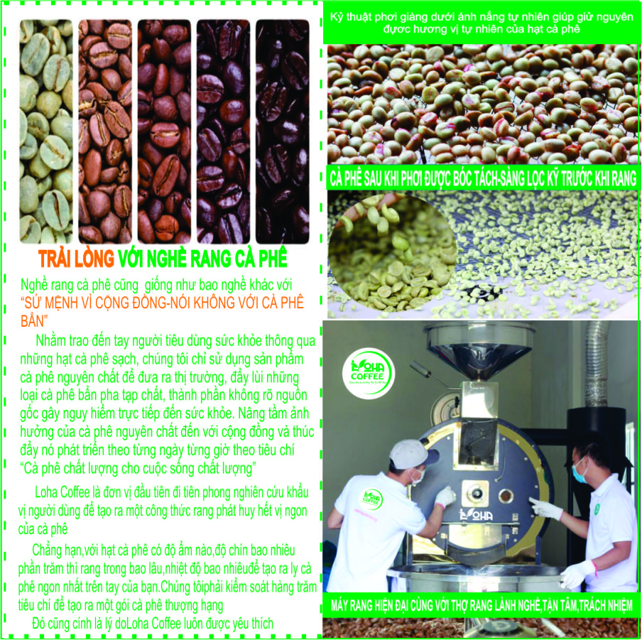 500gr  Cà Phê Hạt Arabica Đà Lạt Rang Mộc Dạng Hạt Pha Máy -LOHA COFFEE