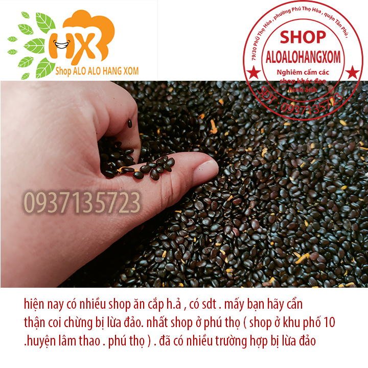 hạt giống cây tràm lai - 1000 gram