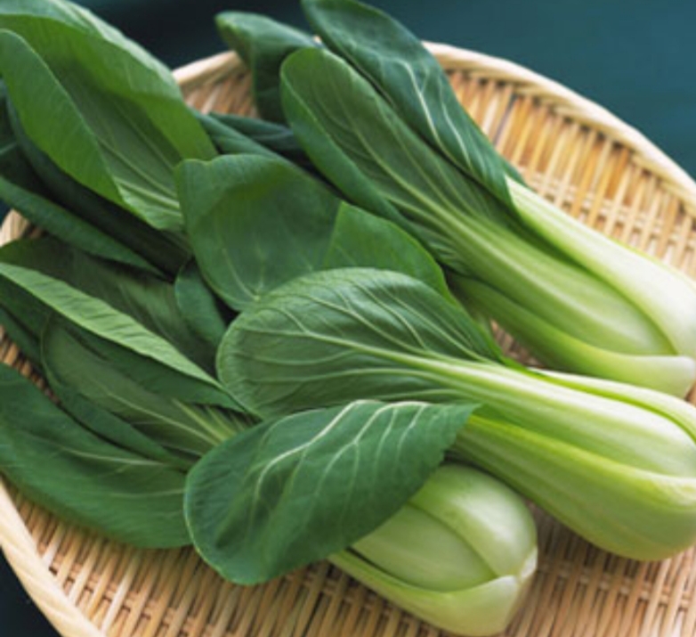 HẠT GIỐNG CẢI THÌA CAO SẢN gói 20gram
