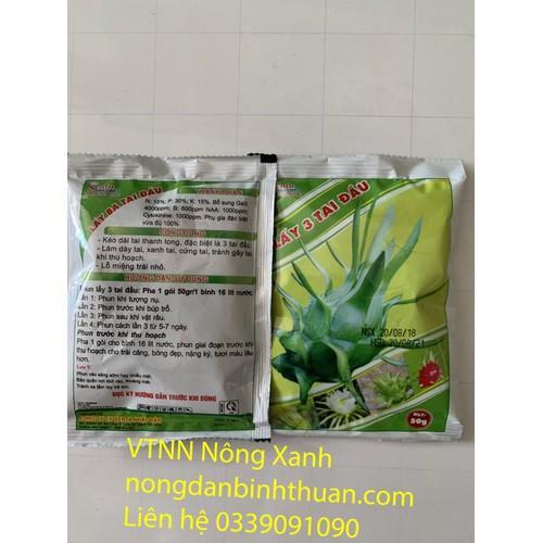 Lấy ba tai đầu trái thanh long công ty senta nhật bản