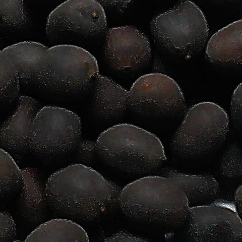 Hạt Sen Khô Đen Đồng Tháp 300g