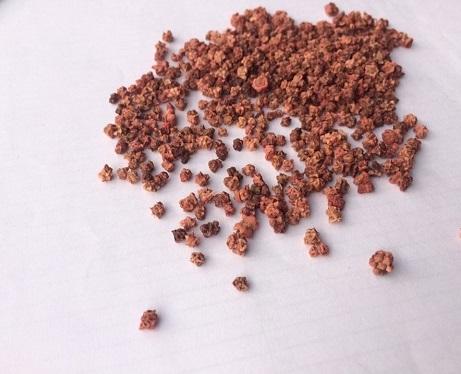 Hạt giống cải bó xôi chịu nhiệt (rau chân vịt) 20gr