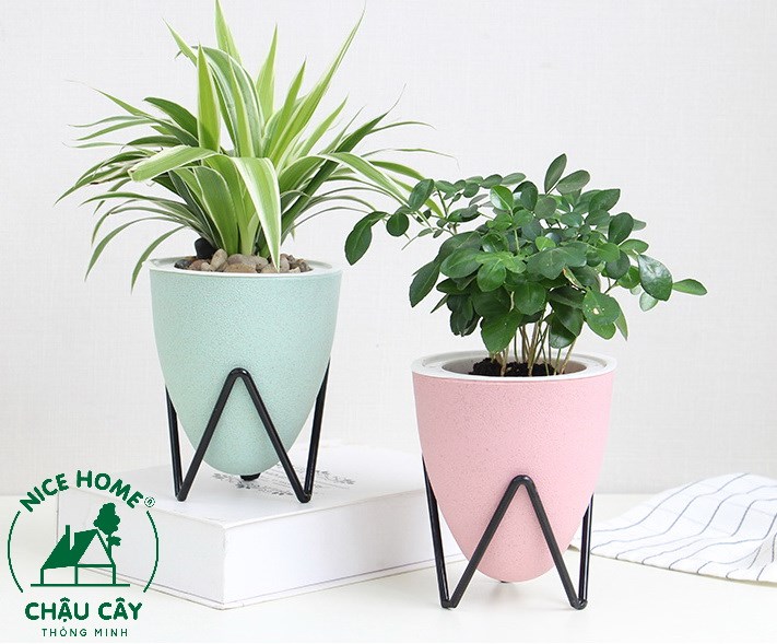 Chậu cây tự dưỡng thông minh- D03 color (kèm kệ sắt)