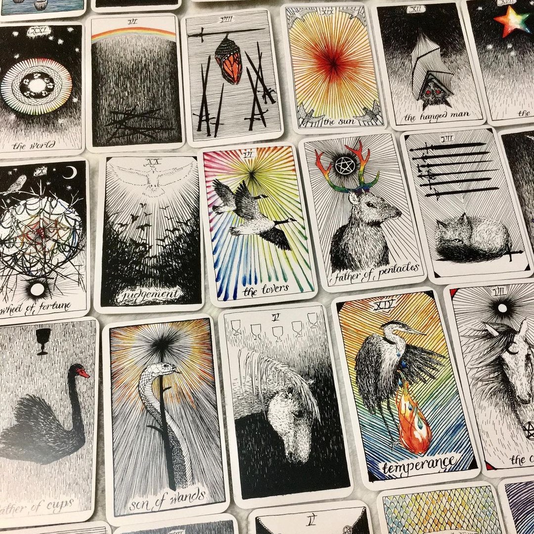 The Wild Unknown Tarot Pocket