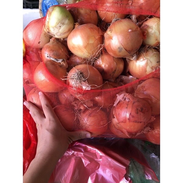 Củ Hành Tây tươi ngon túi 500g