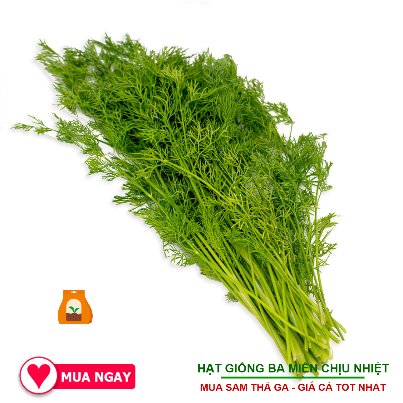 Hạt Giống Thì Là Tứ Quý Trang Nông 10Gr