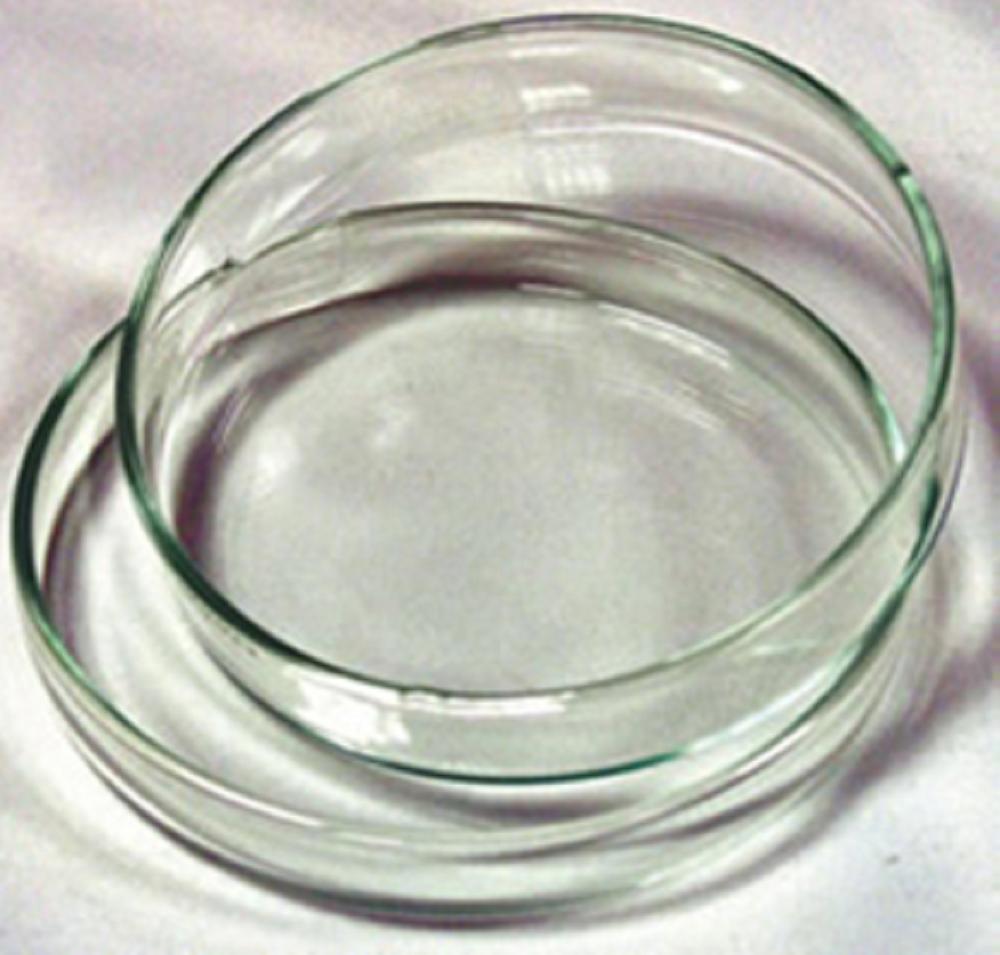 Đĩa petri thủy tinh 90x15mm