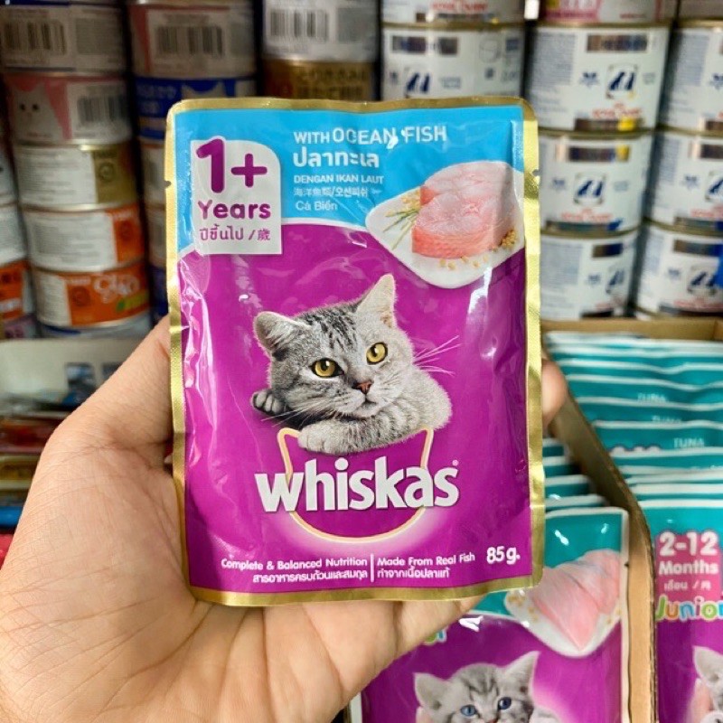 Pate whiskas cho mèo 🐱🐈🐱