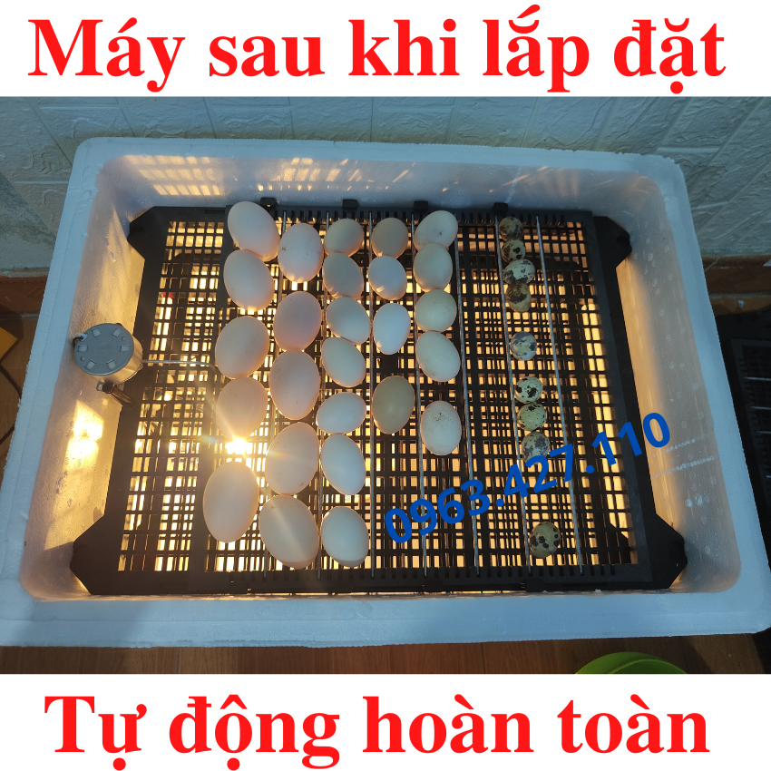 Bộ máy ấp trứng tự động