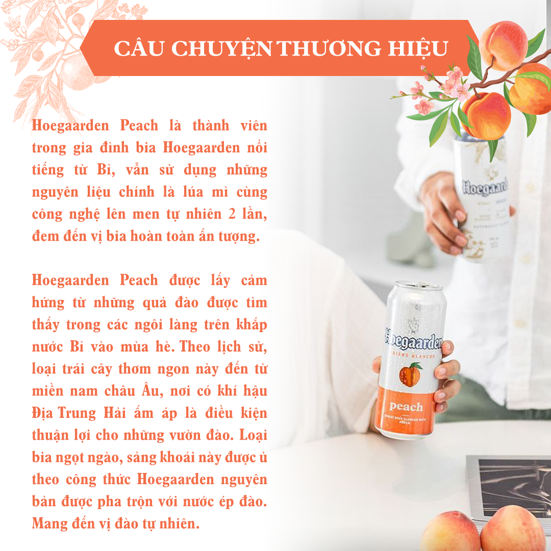 Combo 2 Thùng 12 Lon Bia Hoegaarden Peach (500ml/Lon)
