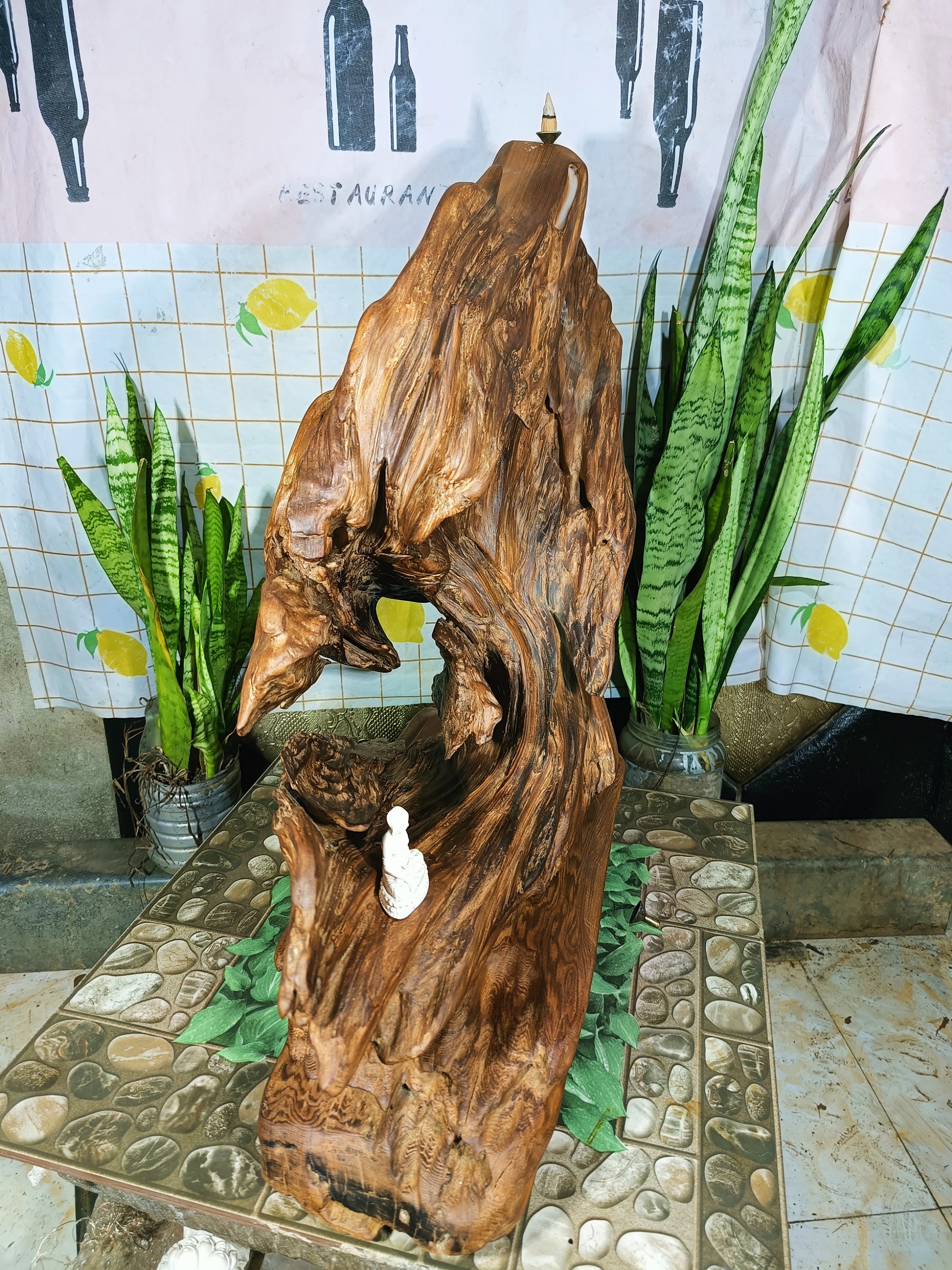 lũa gỗ thơm ngọc am đỏ hà giang. măng gỗ độc đáo