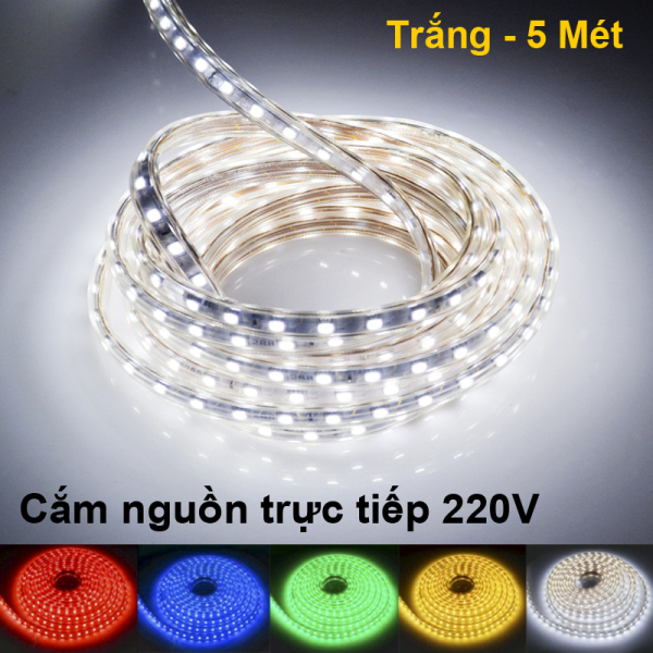 5 Mét LED dây 5050 Bọc nhựa Chống nước Tặng dây Nguồn, Cắm điện trực tiếp 220V - Nhiều màu chọn