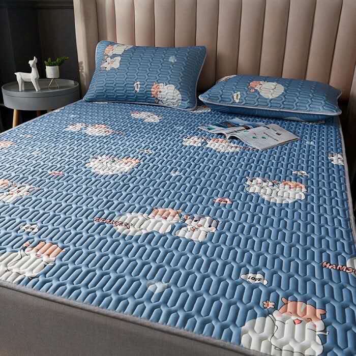 chiếu điều hòa cao su non 5d 1m6x2m