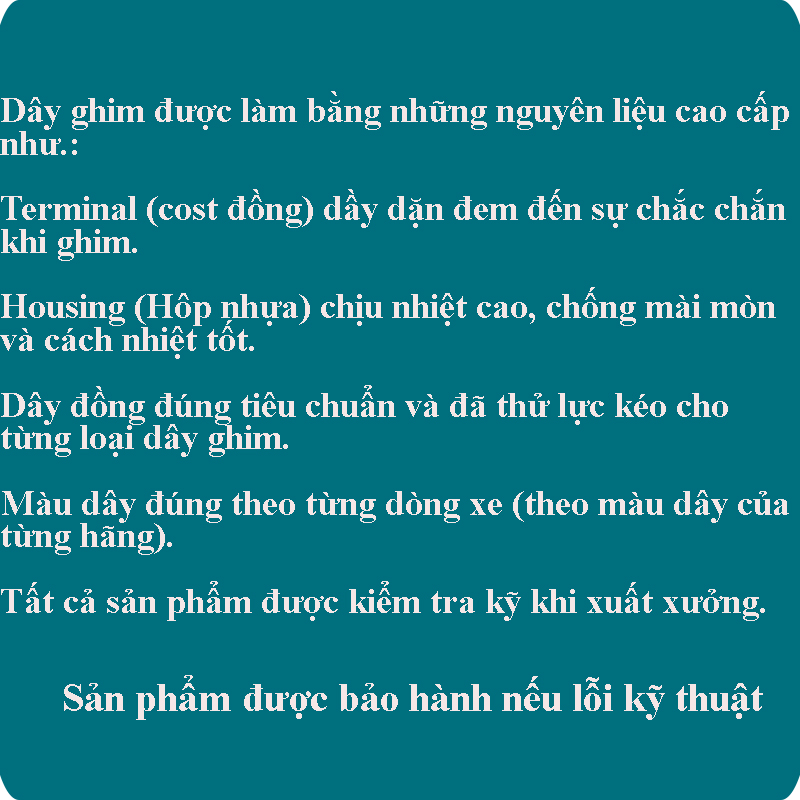 [HCM]Đuôi láy sau dành cho xe Dream/ Wave (5 lỗ)