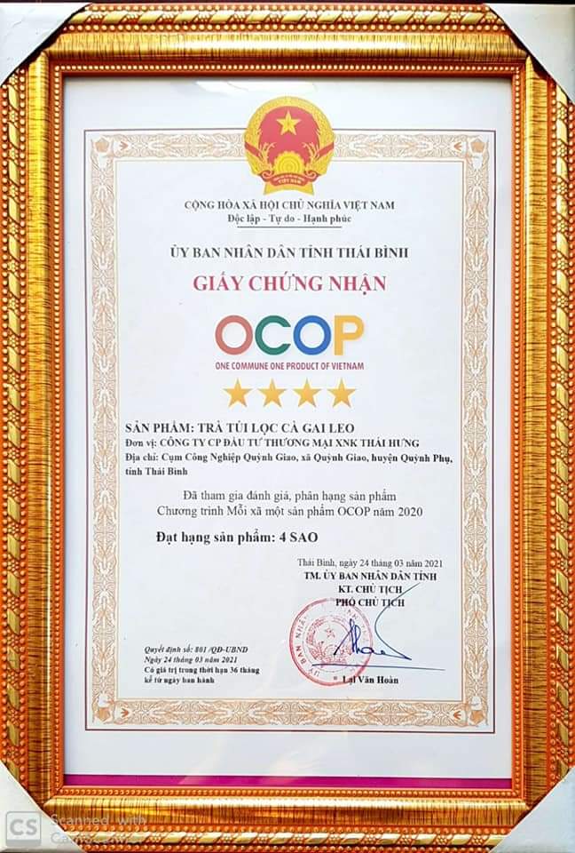Trà Cà gai leo Thái Hưng (Hộp 25 túi lọc x 2,5g) Mát gan, thải độc gan