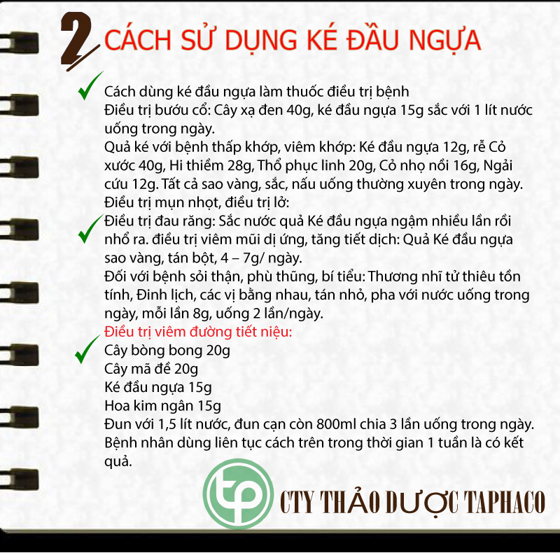 [Hàng mới về] Ké đầu ngựa khô 500g - tấn phát - Hàng công ty chất lượng cao - hỗ trợ cải thiện sức khoẻ cực kỳ hiệu quả