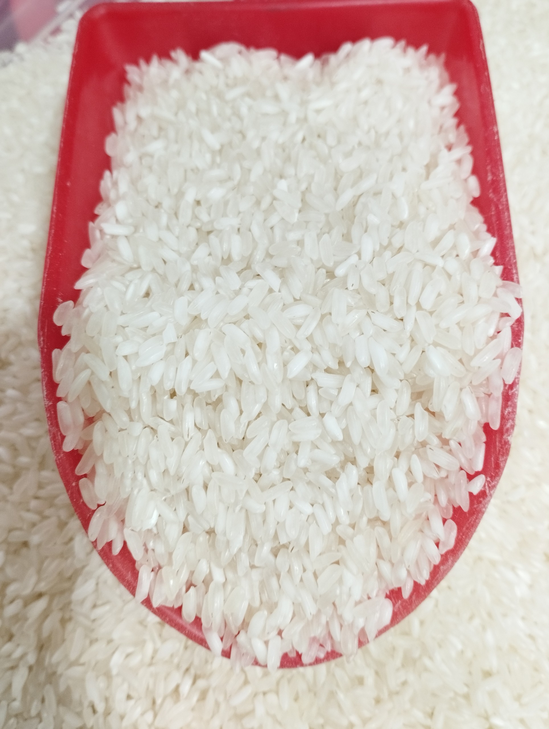 5KG Gạo Nở Mềm - Gạo Nở Xốp Mềm Cơm
