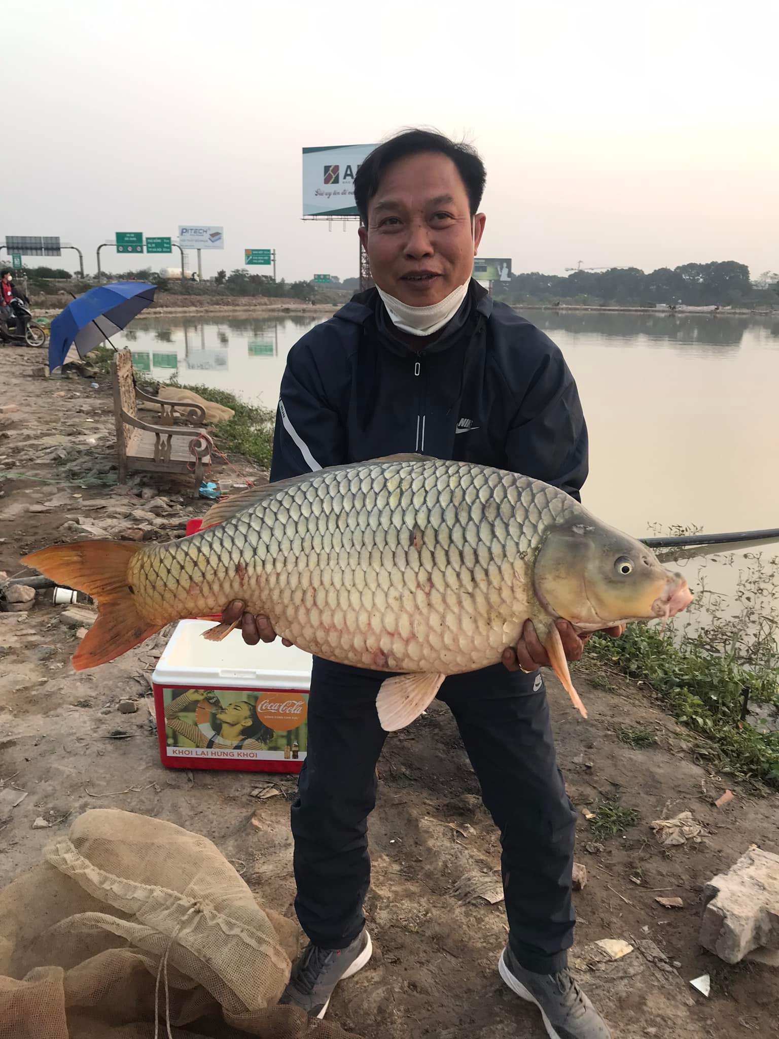 [ ƯU ĐÃI ] Mồi câu cá Chép Khủng. Mồi câu cá Phú Thành