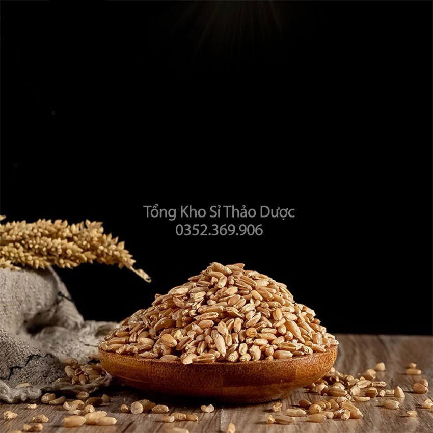 Lúa Mì 500g