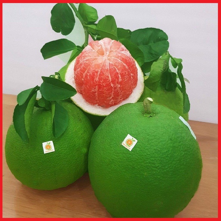 2 cây giống Bưởi da xanh ruột đỏ - C04