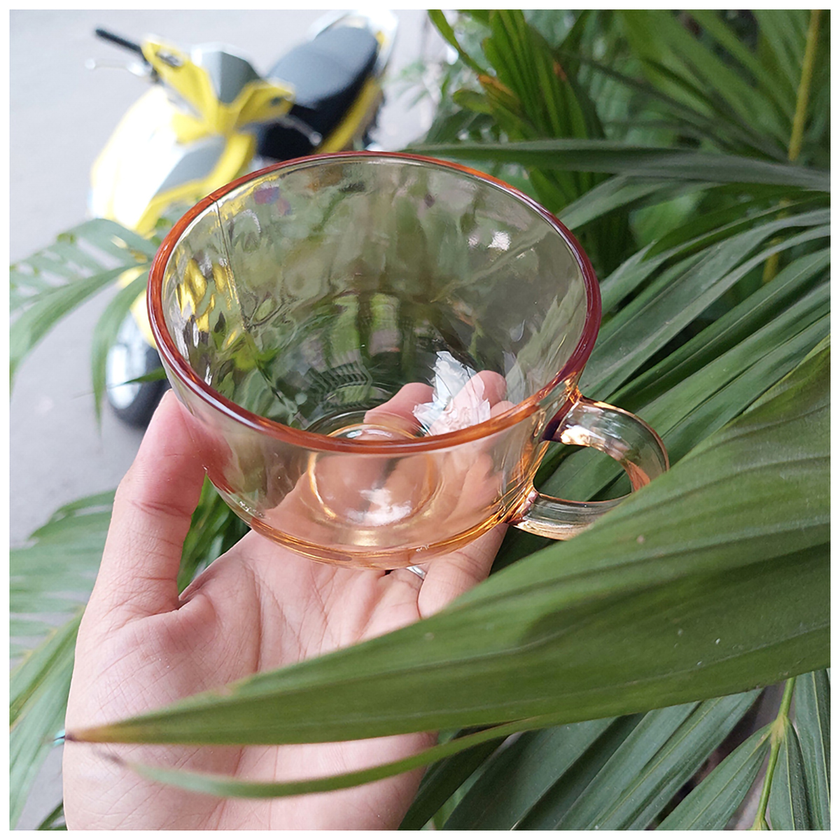 Ly Thuỷ Tinh Màu Hổ Phách 480ml Có Hộp