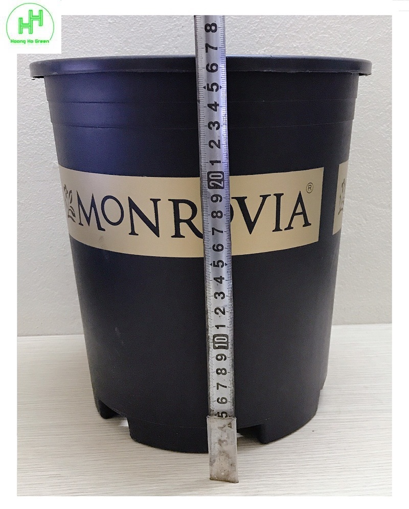 5 Chậu MONROVIA CH Garden 3Gal - Màu Đen
