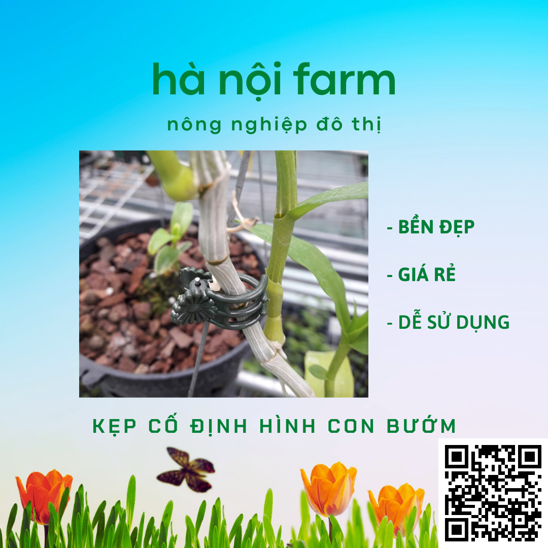 100 kẹp bướm cố định cho lan (loại nhỏ)