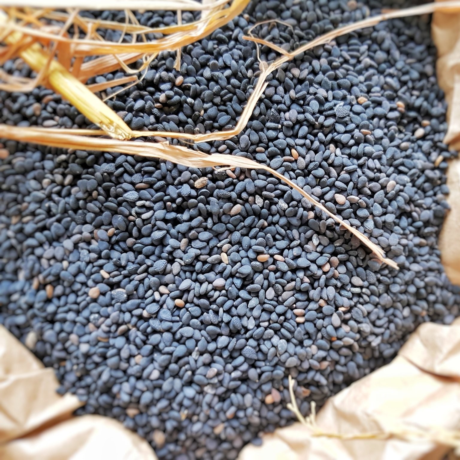 Mè Đen - Vừng Đen Quê Hữu Cơ