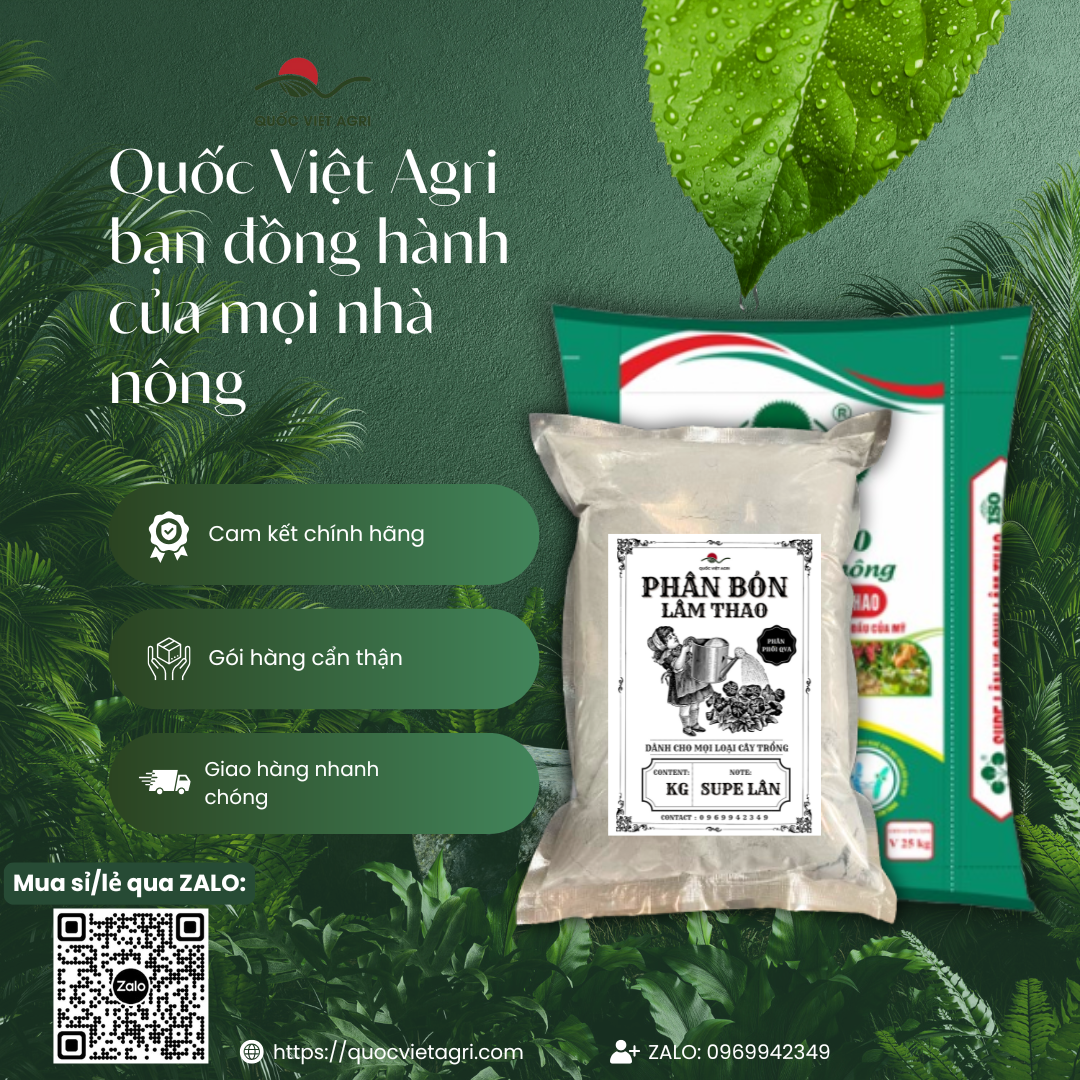 Phân bón LÂN LÂM THAO (gói 1KG) - SUPE LÂN Chính Hãng