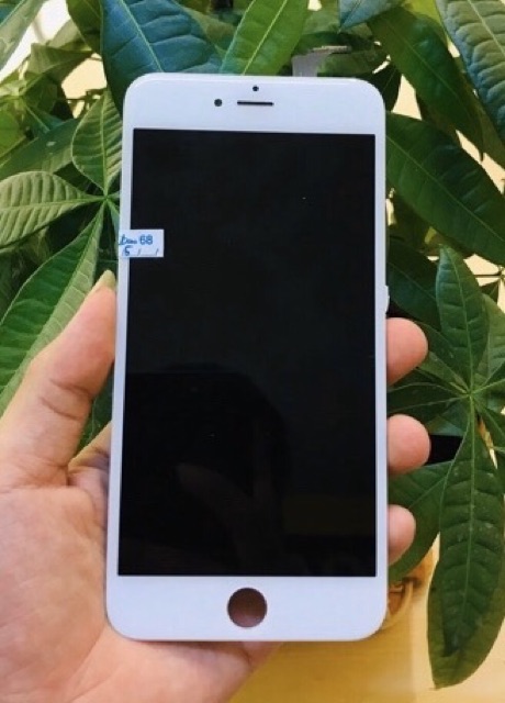 Màn hình IP 6 plus Zin máy. Bảo hành 3 tháng sử dụng