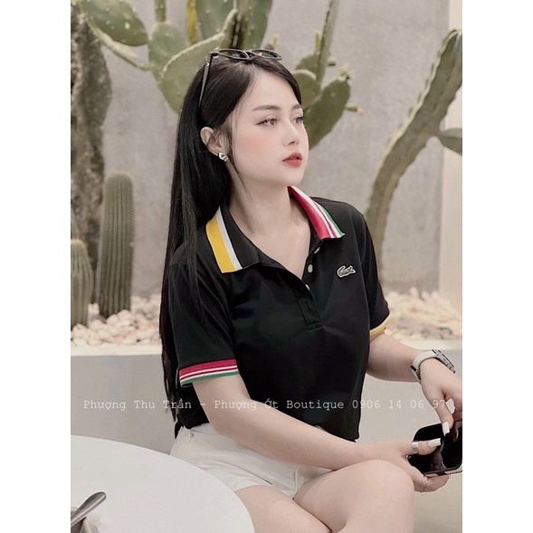Áo phông polo cổ viền cá sấu