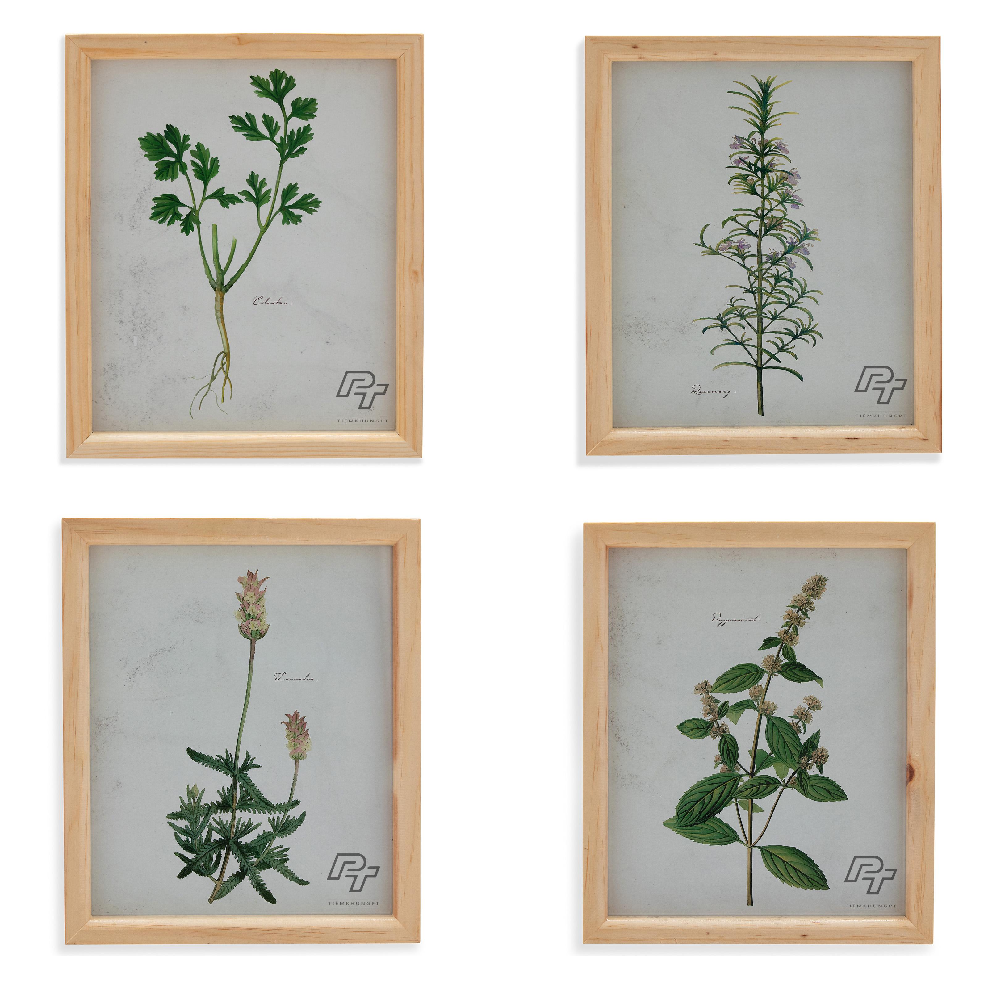 Bộ 04 Khung ảnh 20x25 cm - Khung hình gỗ thông mặt kính để bàn treo tường - Khung ảnh treo tường Solid wood frame - Tiệm Khung PT