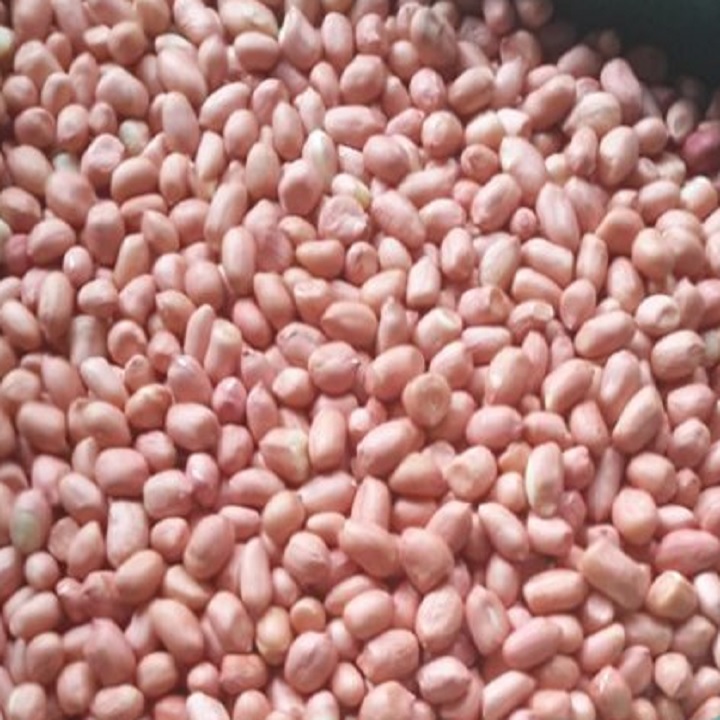 Đậu phộng sống bóc vỏ 500g