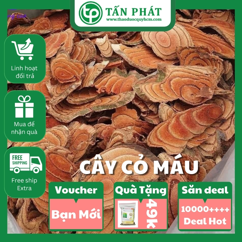 [Tan Phat Dried Herbs] Dried Blood Grass 500g - Specialized for Making Water and Making Tea to Nourish Blood and Regulate Menstruation