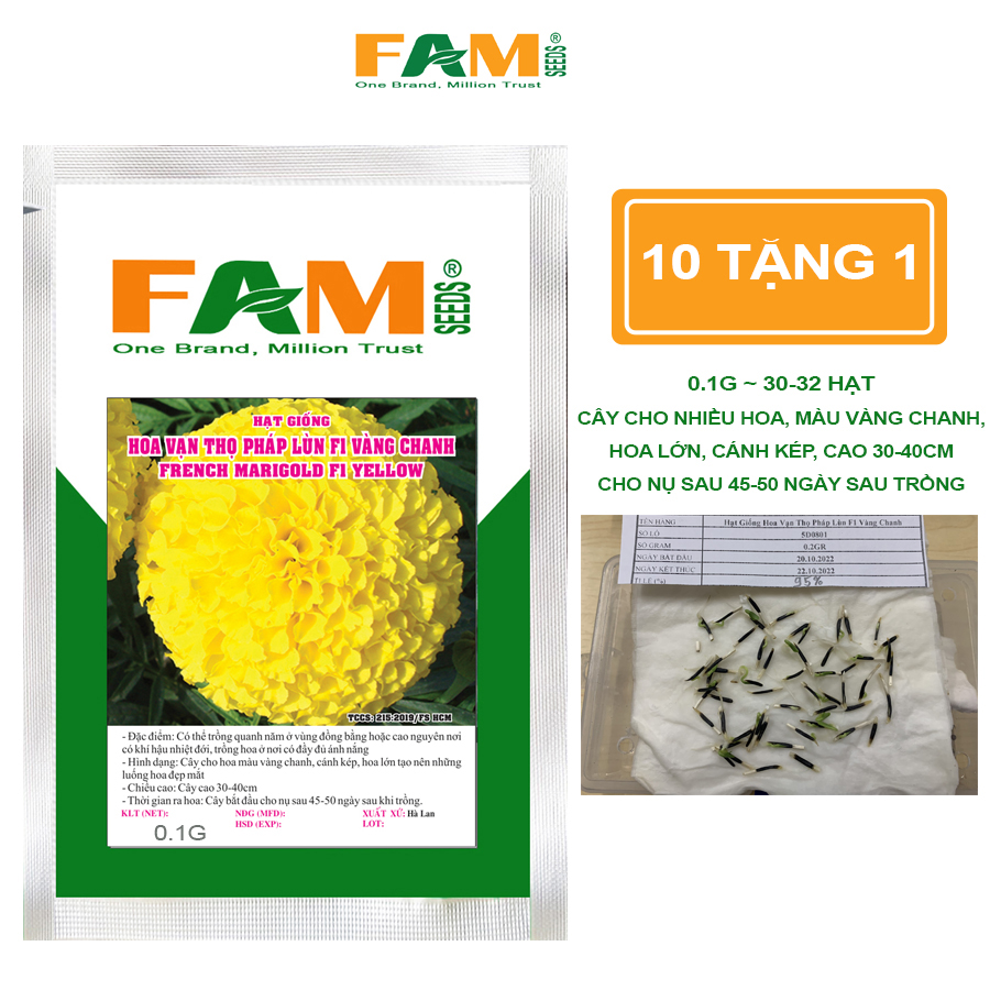 Hạt Giống Hoa Vạn Thọ Pháp Lùn F1 Màu Vàng Chanh - Hạt Nảy Mầm Khỏe, Cây cao 30-40cm, Hoa Cánh Kép 8-10cm, Cho Hoa Sau 60-65 Ngày Gieo