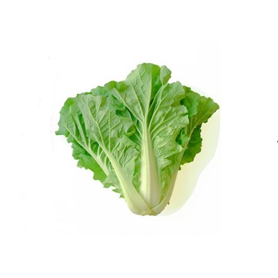 10g Hạt giống Cải bẹ dún
