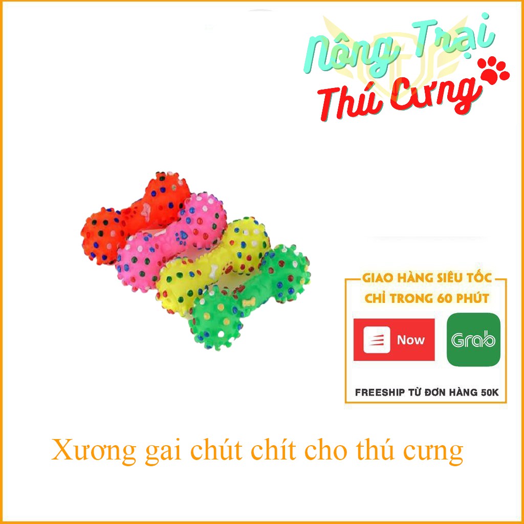 [HCM]Xương gai nhiều màu – đồ chơi chó