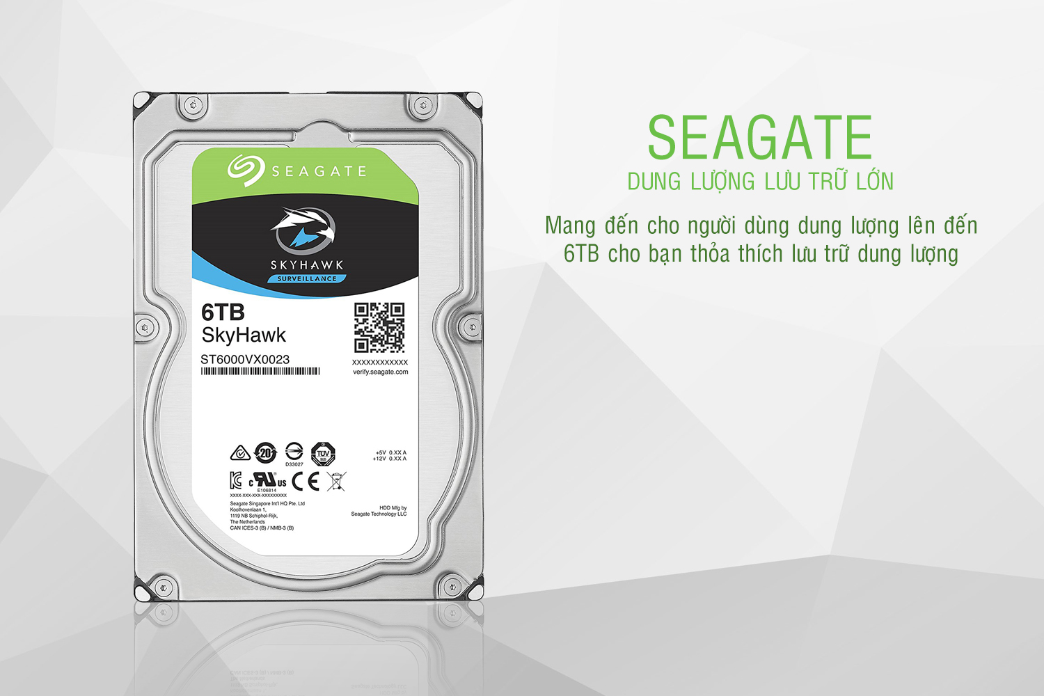 Ổ cứng 6TB Seagate Skyhawk ST6000VX001