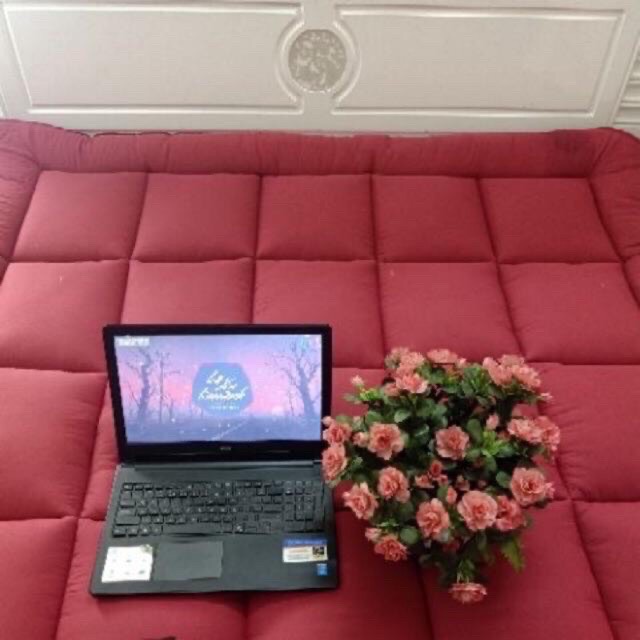 Nệm TOPPER tấm làm mềm đệm(phong cách Hàn quốc)