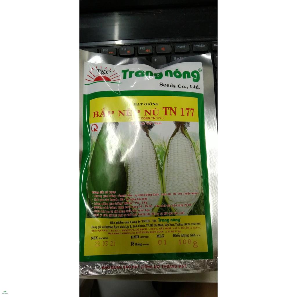 Hạt giống bắp nù - gói 100 gram
