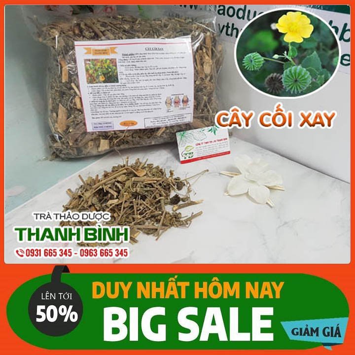 Cây Cối Xay 500gr Loại Đặc Biệt - Đông Y Thanh Bình