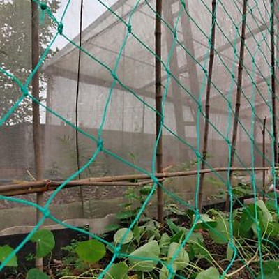 LƯỚI THÁI LÀM GIÀN CÂY LEO (kích thước 1m x 2m)