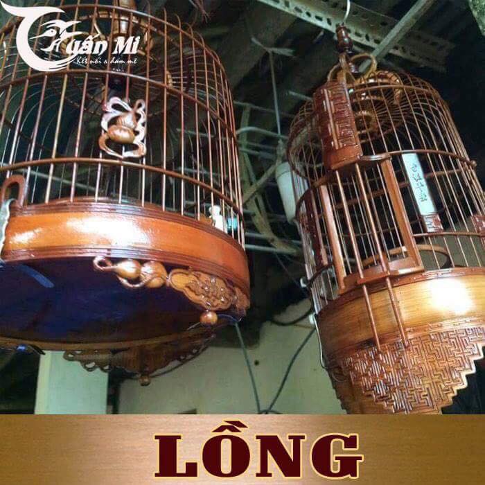 Dầu Ủ Lồng (Thương hiệu Tuấn Mi)